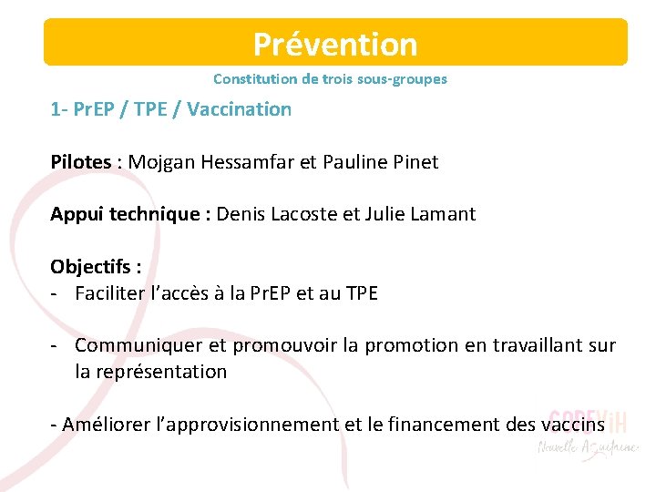 Prévention Constitution de trois sous-groupes 1 - Pr. EP / TPE / Vaccination Pilotes