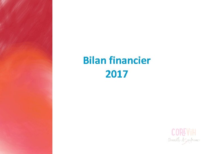 Bilan financier 2017 