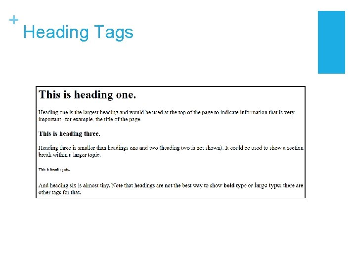 + Heading Tags + Heading Tags