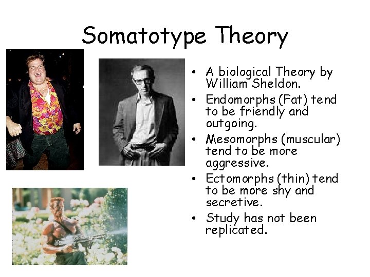 Somatotype Theory • A biological Theory by William Sheldon. • Endomorphs (Fat) tend to