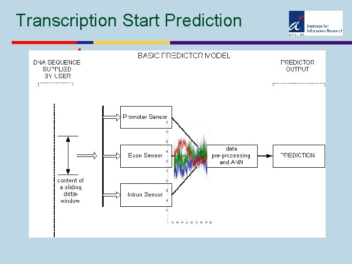 Transcription Start Prediction 