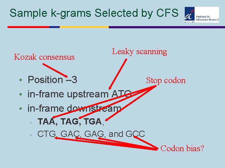 Sample k-grams Selected by CFS Kozak consensus Leaky scanning • Position – 3 •