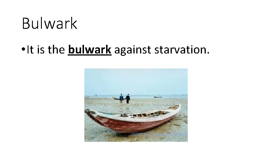 Bulwark • It is the bulwark against starvation. 