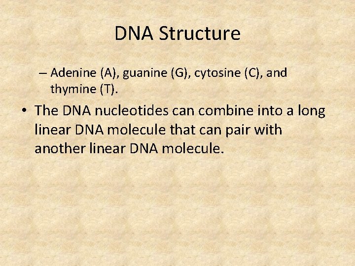 DNA Structure – Adenine (A), guanine (G), cytosine (C), and thymine (T). • The