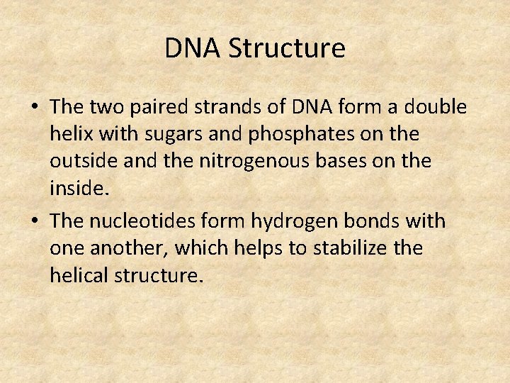 DNA Structure • The two paired strands of DNA form a double helix with