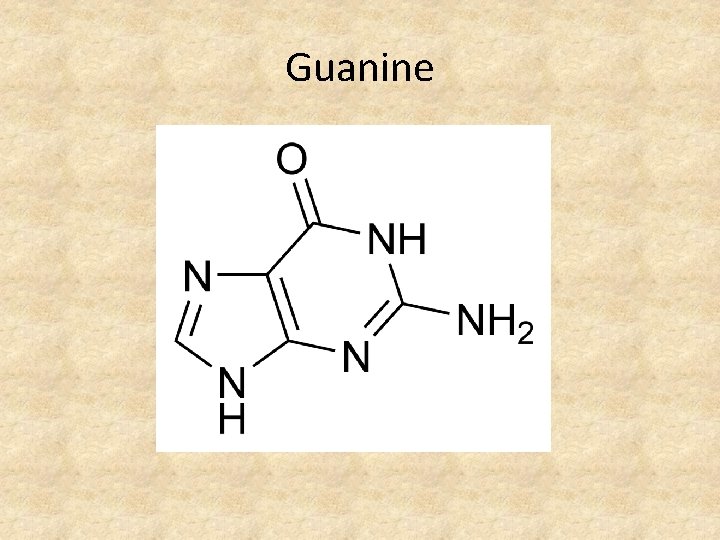Guanine 
