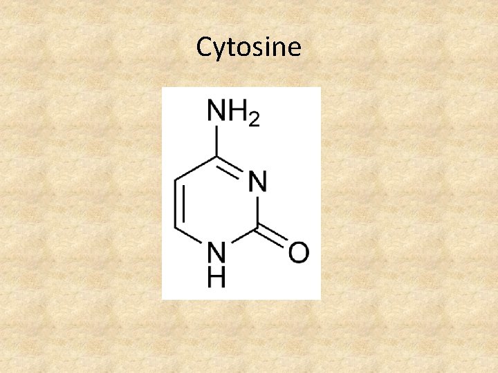 Cytosine 