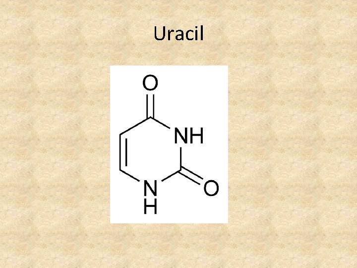 Uracil 