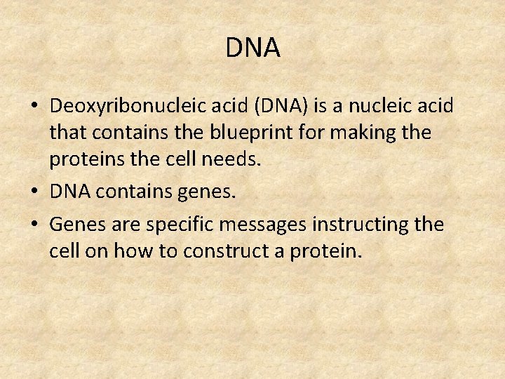 DNA • Deoxyribonucleic acid (DNA) is a nucleic acid that contains the blueprint for