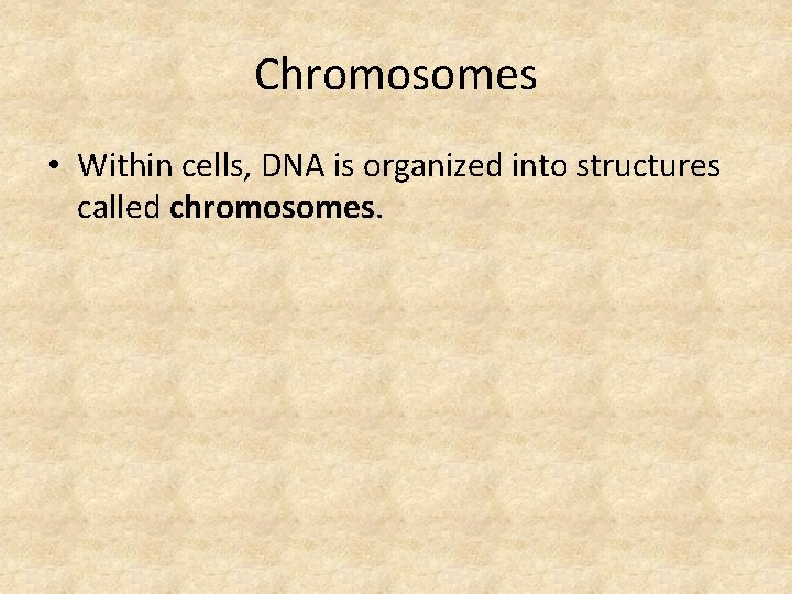 Chromosomes • Within cells, DNA is organized into structures called chromosomes. 