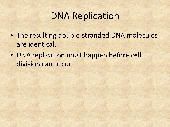 DNA Replication • The resulting double-stranded DNA molecules are identical. • DNA replication must