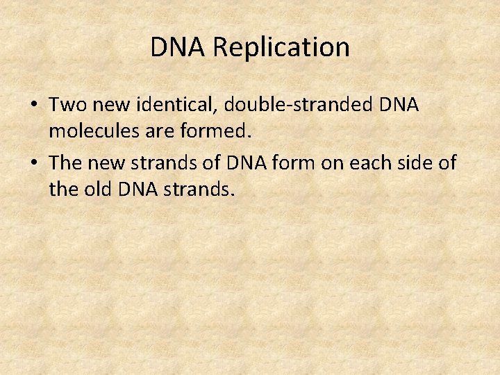 DNA Replication • Two new identical, double-stranded DNA molecules are formed. • The new