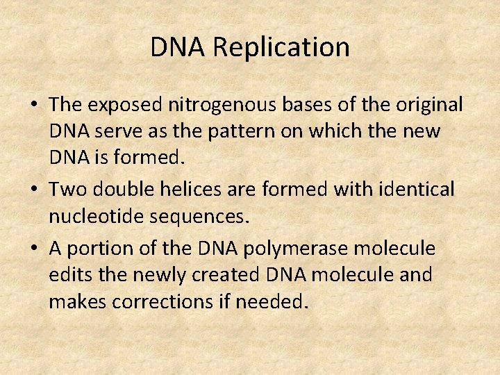 DNA Replication • The exposed nitrogenous bases of the original DNA serve as the