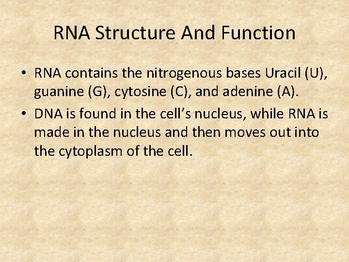 RNA Structure And Function • RNA contains the nitrogenous bases Uracil (U), guanine (G),