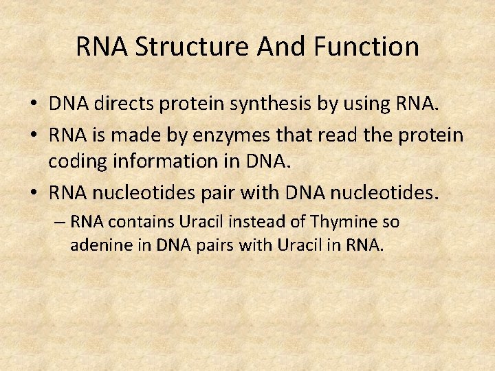 RNA Structure And Function • DNA directs protein synthesis by using RNA. • RNA