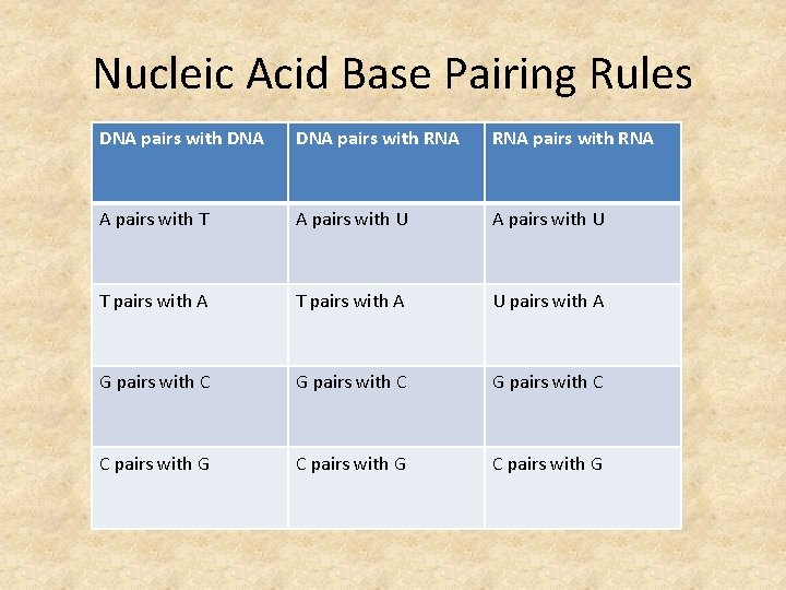 Nucleic Acid Base Pairing Rules DNA pairs with RNA pairs with RNA A pairs