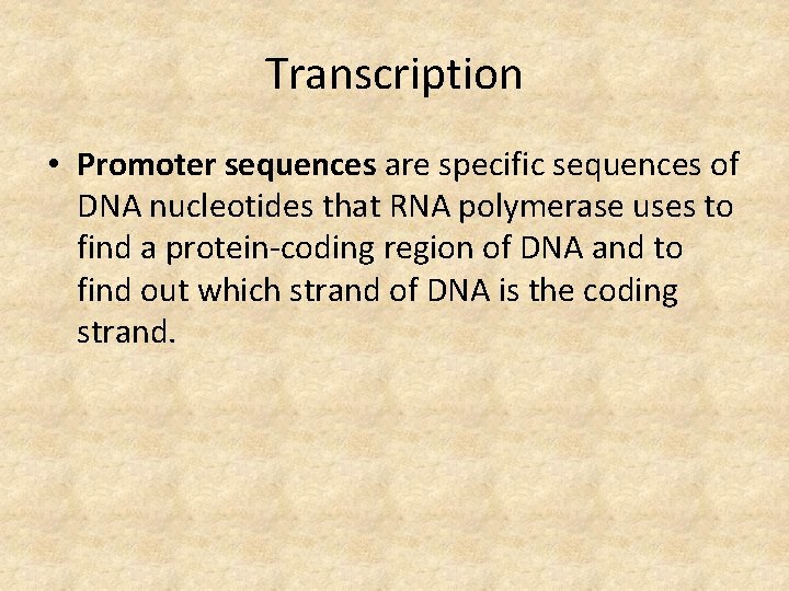 Transcription • Promoter sequences are specific sequences of DNA nucleotides that RNA polymerase uses