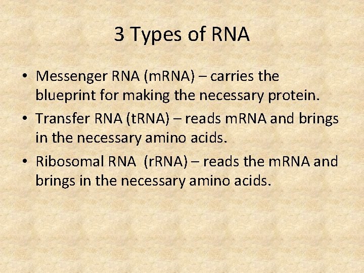 3 Types of RNA • Messenger RNA (m. RNA) – carries the blueprint for