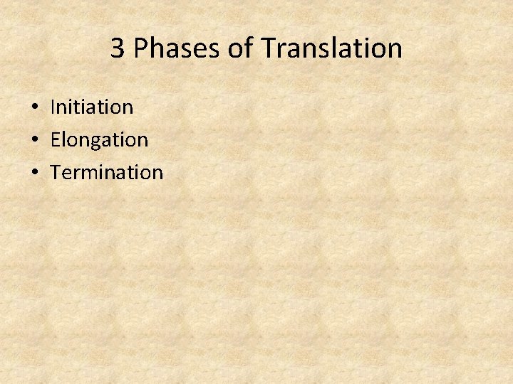 3 Phases of Translation • Initiation • Elongation • Termination 