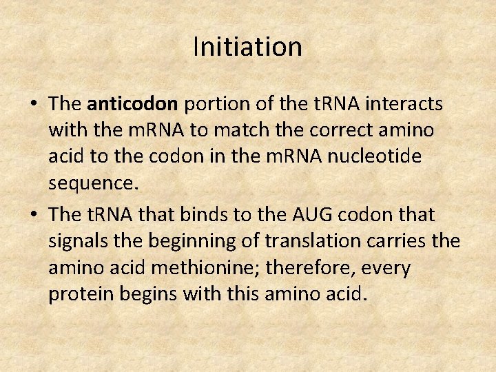 Initiation • The anticodon portion of the t. RNA interacts with the m. RNA