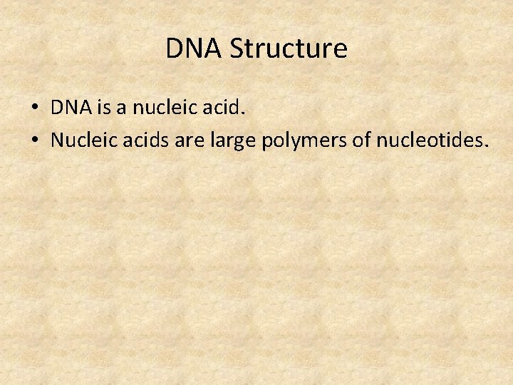 DNA Structure • DNA is a nucleic acid. • Nucleic acids are large polymers