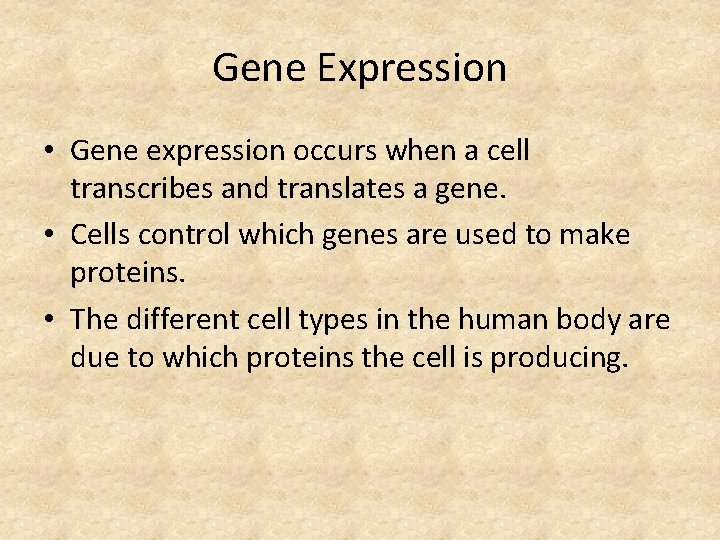 Gene Expression • Gene expression occurs when a cell transcribes and translates a gene.