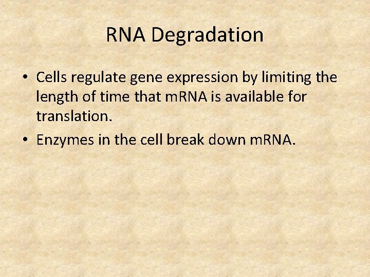 RNA Degradation • Cells regulate gene expression by limiting the length of time that