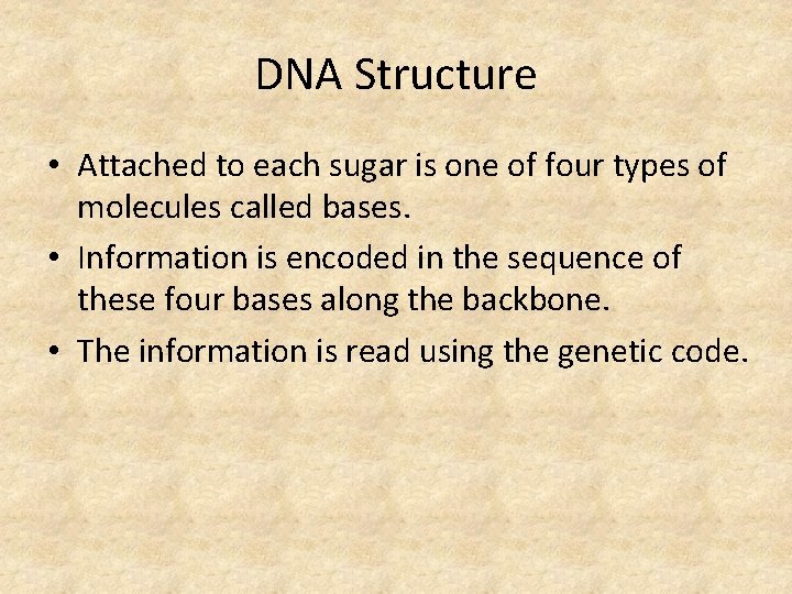 DNA Structure • Attached to each sugar is one of four types of molecules