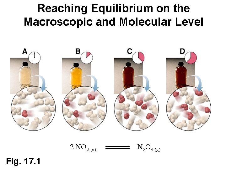 Reaching Equilibrium on the Macroscopic and Molecular Level 2 NO 2 (g) Fig. 17.