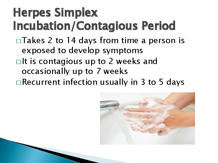 Herpes Simplex Incubation/Contagious Period � Takes 2 to 14 days from time a person