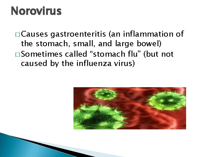 Norovirus � Causes gastroenteritis (an inflammation of the stomach, small, and large bowel) �