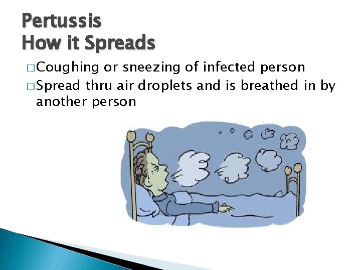 Pertussis How it Spreads � Coughing or sneezing of infected person � Spread thru