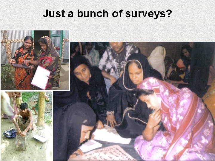Just a bunch of surveys? 