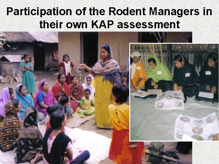 Participation of the Rodent Managers in their own KAP assessment 