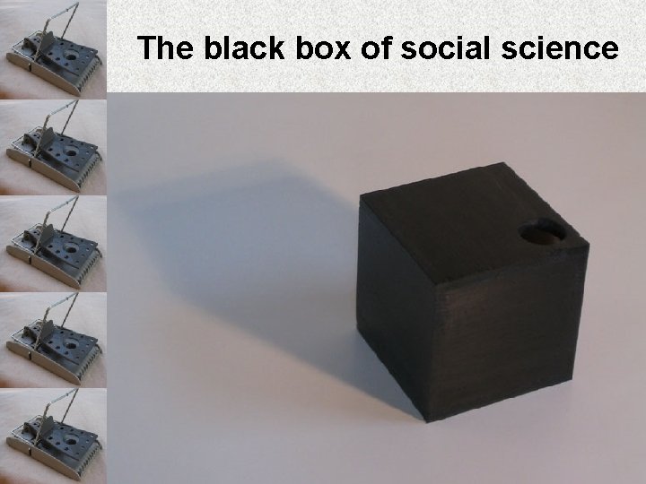 The black box of social science 