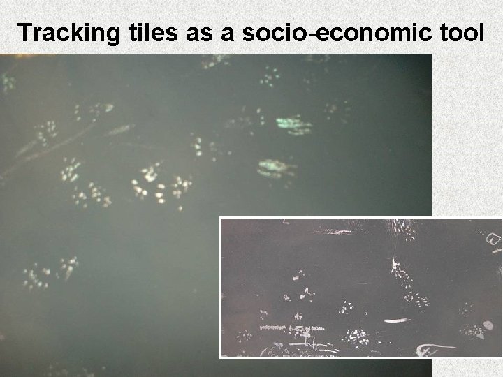 Tracking tiles as a socio-economic tool 