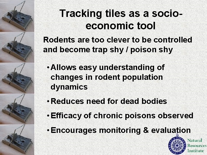 Tracking tiles as a socioeconomic tool Rodents are too clever to be controlled and