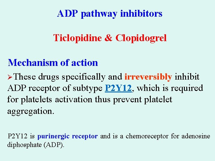 ADP pathway inhibitors Ticlopidine & Clopidogrel Mechanism of action ØThese drugs specifically and irreversibly