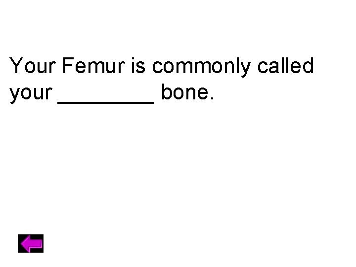 Your Femur is commonly called your ____ bone. 
