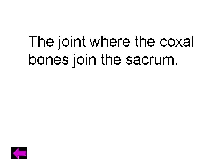 The joint where the coxal bones join the sacrum. 