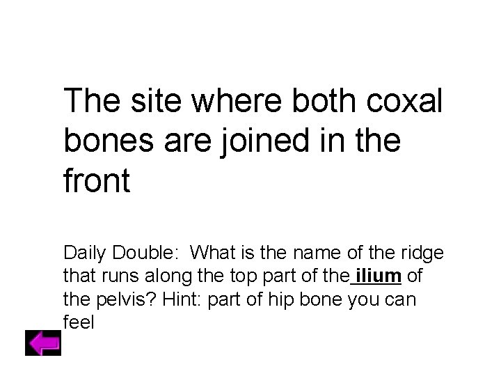 The site where both coxal bones are joined in the front Daily Double: What