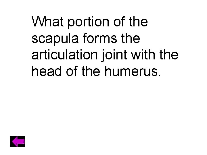 What portion of the scapula forms the articulation joint with the head of the