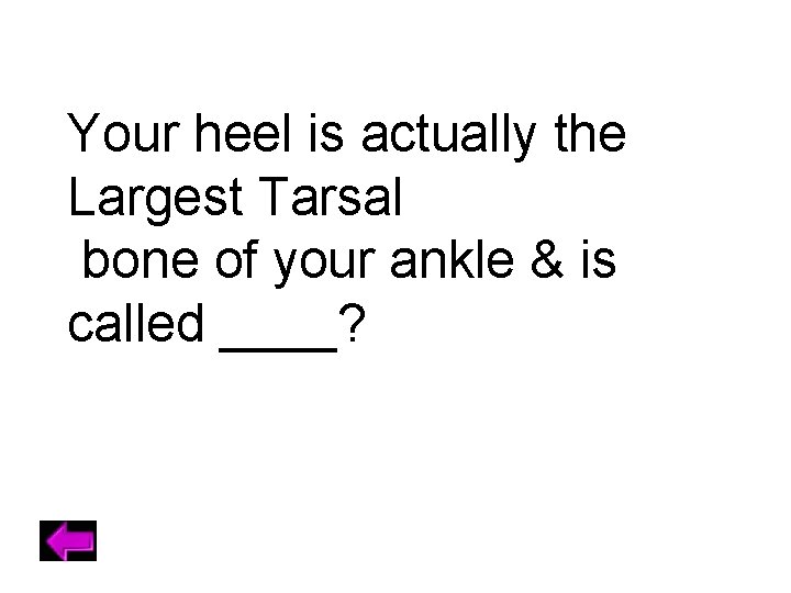 Your heel is actually the Largest Tarsal bone of your ankle & is called