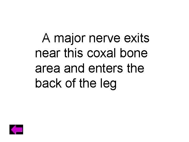 A major nerve exits near this coxal bone area and enters the back of
