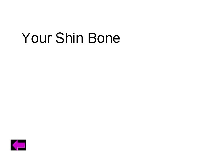 Your Shin Bone 