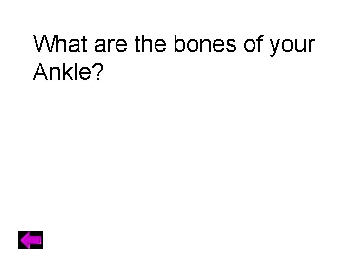 What are the bones of your Ankle? 