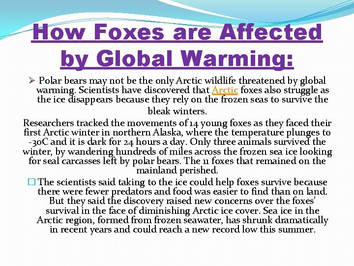 How Foxes are Affected by Global Warming: Ø Polar bears may not be the