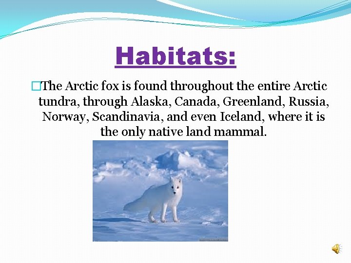 Habitats: �The Arctic fox is found throughout the entire Arctic tundra, through Alaska, Canada,