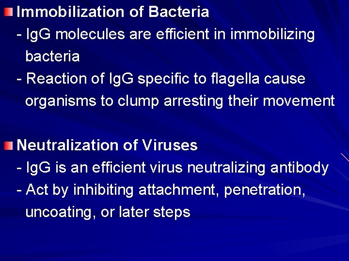 Immobilization of Bacteria - Ig. G molecules are efficient in immobilizing bacteria - Reaction