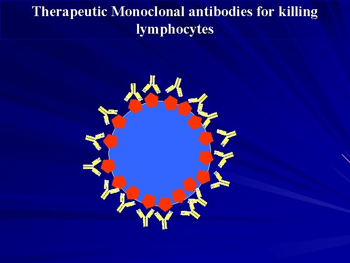 Therapeutic Monoclonal antibodies for killing lymphocytes 